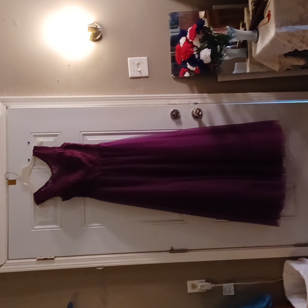 Madeline Gardner Burgundy Princess Formal size 10